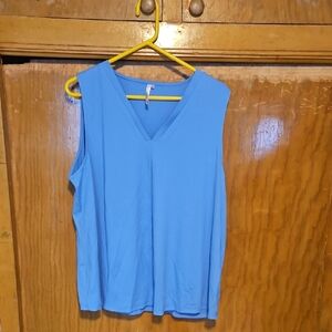 Blue Sleeveless V-Neck Top